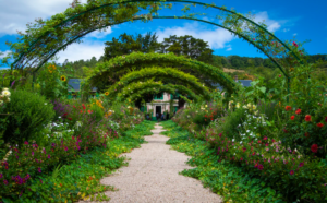 green garden view