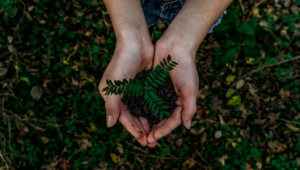 how to move towards sustainable practises