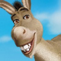 shrek - the donkey; Eddie Murphy is a genius!