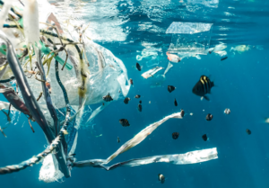 single use plastic packaging pollution